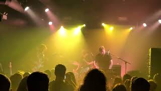 We Are Wolves - Super Normal - Live Performance Show Québec 2024 Grizzly Fuzz