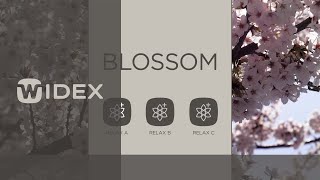 Widex SoundRelax™ Fractal Tone - Blossom | Widex Moment hearing aids