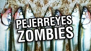 ¿SE PUEDEN COMER? PESCANDO LOS PEJERREYES ZOMBIES / Pesca en la laguna la Barrancosa /