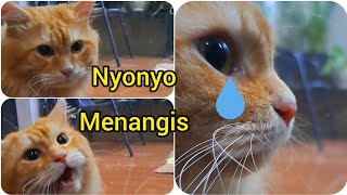 Nyonyo menangis.