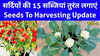 दिसम्बर मे लगाई जाने वाली सब्जियाँ / लगाने का तरीका / October Growing Vegetable Name / How to Grow