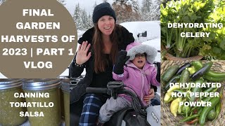 End of Year Garden Wrap Up VLOG PART 1- DEHYDRATING CELERY | CANNING SALSA VERDE | HOT PEPPER POWDER