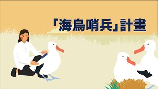 海鳥哨兵 Seabird Sentinels - 海鳥哨兵計畫