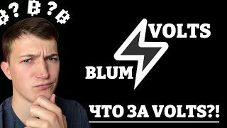 ⚡️VOLTS - ЭТО БРАТ BLUMA?! / НОВЫЙ ПРОЕКТ VOLTS