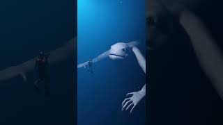 Thalassophobia Triggers Disturbing Short - Use Headphones (Full Volume) #Shorts