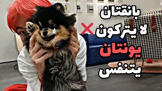 بانقتان لا يتركون يونتان يتنفس 😂