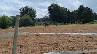 Is he lame?? #dressage #horse #horseriding #equestrain #horsebackriding #riding