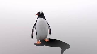 Low Poly 3D Gentoo Penguin preview