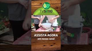 COMO PREPARAR A TERRA PARA O CULTIVO NO VASO