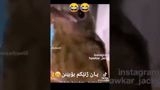 ٣٠ سبتمبر ٢٠٢٢