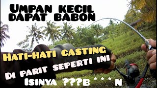 casting ikan gabus di parit kecil pinggir tambak yang penuh jackpot