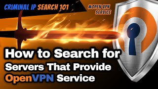 Criminal IP Search 101- How to Find OpenVPN servers