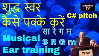 How to develop great ears C# | 5 मिनट रियाज़ | शुद्ध स्वर कैसे  पहचानें | NadbrahmaTV