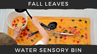 Easy Fall Sensory Bin Idea for Kids