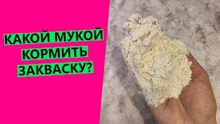 КАКОЙ МУКОЙ🧐 КОРМИТЬ ЗАКВАСКУ?