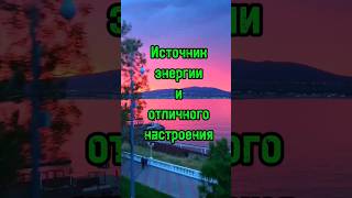 Источник энергии и отличного  настроения#перуанскаямака #music#энергия#настроение