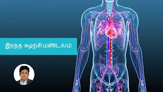 Your Heart And Circulatory System | Tamil