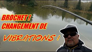 BROCHET ! changement de VIBRATIONS !