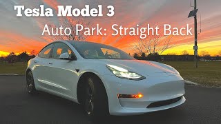 Tesla Model 3 Auto Park: Straight Back