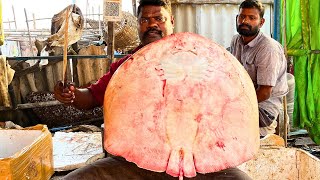 KASIMEDU SPEED SELVAM STINGRAY FISH CUTTING VIDEO / cutting focus