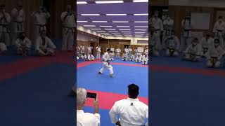 Yamaguchi-Sensei  kata suishu