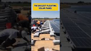 The largest floating solar panel #factsdaily #factshorts #uniqueshorts