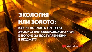 Экология или золото: как не погубить экосистему Хабаровского края в погоне за поступлениями в бюджет