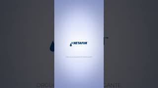 Netafim é uma empresa com destaque e foco em irrigação subterrânea e por gotejamento. 🌱💧#agro