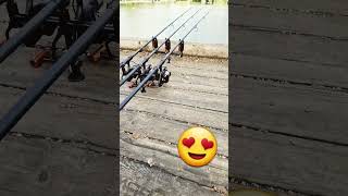 rate my set up #2023 #carp #fish #freshwaterfish #london #monstercarp #carpfish #carpfishing