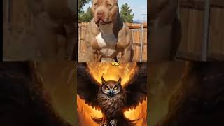 Bravest Dogs VS Eagles viral shorts #shorts