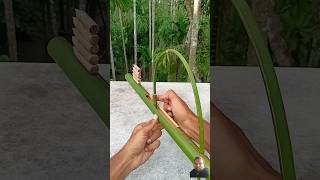 Bamboo Creations with new Slingshots #bamboo #Diy #Toy