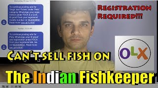 Now You Can't Sell Fish On OLX | The Indian Fishkeeper