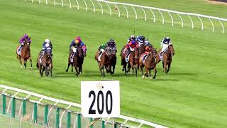 Thompson Handicap 2024 - TOWN CRYER (Hcp G3) Group 3 Trentham NZ 27 October