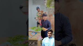 Bakra lari bado badi || #trending #viral #cowlover#shorts |Eid Mubarak Everyone|