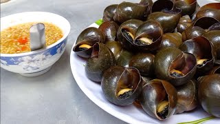 Cách ngâm ốc đồng nhanh   nhả sạch bùn đất và nhớt | Snails boiled and fish sauce with citronella