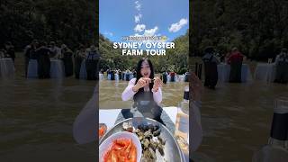 SYDNEY OYSTER FARM TOUR 🦪🥂🥰 #sydneyfood #sydney #oysters #oysterfarming