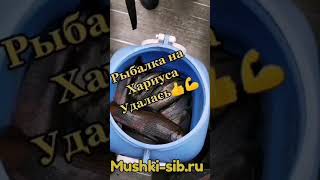 #1 Рыбалка на Хариуса \Отличный улов\Уловистые приманки