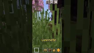 elrejtetem egy titkos üzenete a #minecraftban #shorts