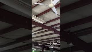 Hampton Bay Industrial ceiling fans