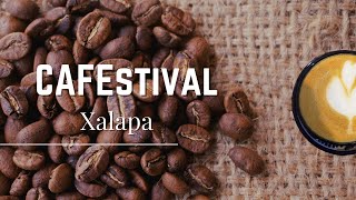 FEST GASTRONOMICO VERACRUZ | CAFE EN XALAPA | FINCA HERRADURA