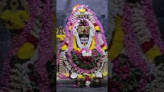 Live Darshan of Mahadev | Om Siva Sambhu | Sri Kasi Vishwanath Sivan Temple Vandalur chennai