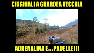 Caccia al cinghiale a Guardea Vecchia: tra adrenalina e padelle!!