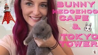 BUNNY/HEDGEHOG CAFE & TOKYO TOWER!