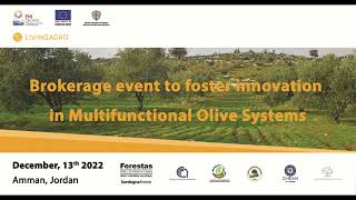 Copy of Multifunctional Olive Systems