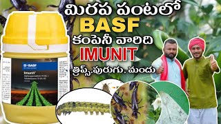 BASF company imunit new insecticide productin redchilli/ మిరప పంటలో BASF ఇమునిట్ కొత్త పురుగు మందు