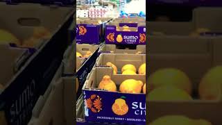 RARE FRUIT FOUND AT SAMS CLUB #citrusfruit #rarefruits #samsclubdeals