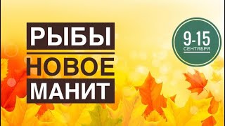 Рыбы ♓️ 9-15 сентября 2024 года 🗝🌈🍀✨☀️Таро Ленорман прогноз предсказания