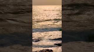 Relaxing Sounds of the Sea at Dawn #seasounds #soothingseasounds #relaxation #relaxingroom