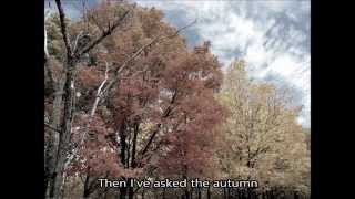 I’ve asked an ash tree/Я спросил у ясеня [Eng Sub]