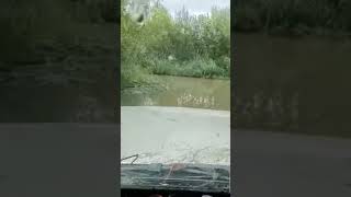 discovery td5 driving through deep water in a swamp #4x4 #mud #offroad #fun #ford #deep #splash